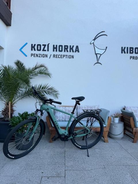 Kozi Horka U Brnenske Prehrady Brno
